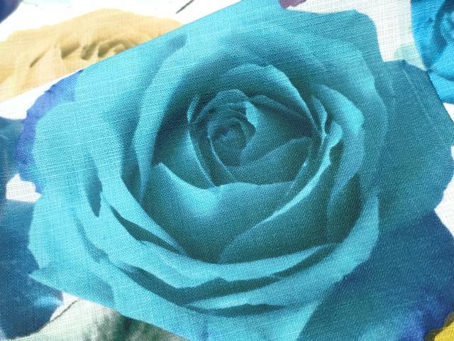 平和屋着物∴夏物 浴衣・小紋兼用 薔薇尽くし 洗える着物 CABD2576ng