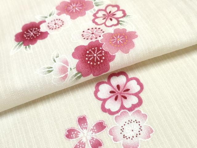 平和屋着物∴夏物 浴衣 花丸文 綿 逸品 CABD2737ng