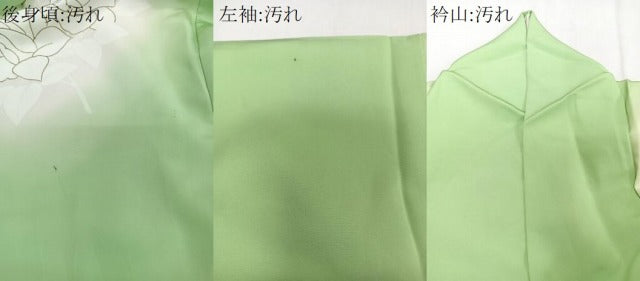 平和屋着物■訪問着 駒刺繍 枝花文 暈し染め 金彩 松坂屋扱い 正絹 逸品 CABD2938xi
