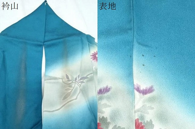 平和屋着物▼訪問着 作家物 手描き 草花文 暈し染め 正絹 逸品 CABD5210th