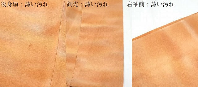 平和屋着物■上質な小紋 霞文 暈し染め 正絹 逸品 CABD5404th