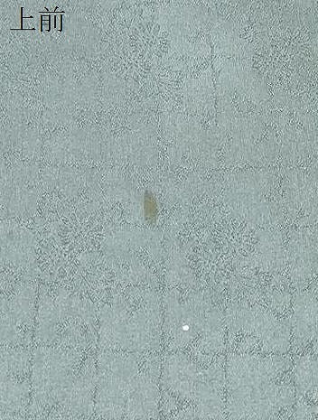 平和屋着物▼訪問着 作家物 草花文 暈し染め 金彩 正絹 逸品 CABD5489th