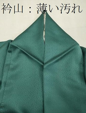 平和屋着物■訪問着 刺繍 地紙枝花文 暈し染め 金銀彩 正絹 逸品 CABD6521oy