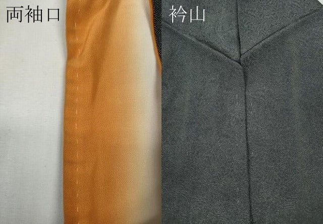平和屋着物●江戸小紋 鮫小紋柄 黒地 正絹 逸品 CABD7492ut
