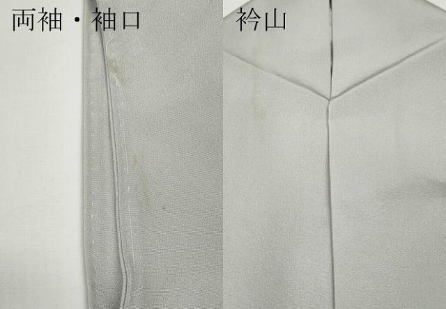 平和屋着物●訪問着 友禅 枝桜文 正絹 逸品 CABD7517ut