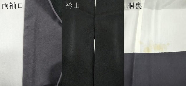平和屋着物●訪問着 立涌舞桜文 暈し染め 黒地 金彩 正絹 逸品 CABD7567ut