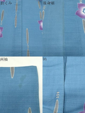 平和屋着物∴夏物 浴衣 綿絽 舞花文 綿 逸品 CABD9549gh