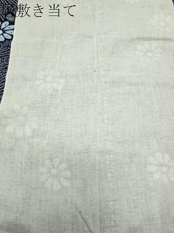 平和屋着物∴夏物 浴衣 草花文 綿 逸品 CABD9588gh