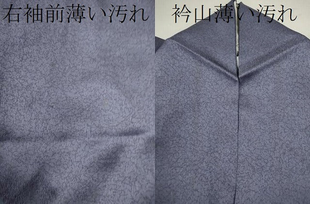 平和屋着物■訪問着 吉祥草花文 暈し染め 金銀彩 正絹 逸品 CABD9679ze