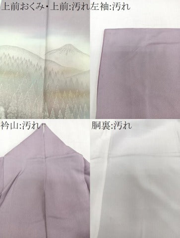 平和屋着物■訪問着 遠山樹林文 暈し染め 正絹 逸品 CABE0512xi