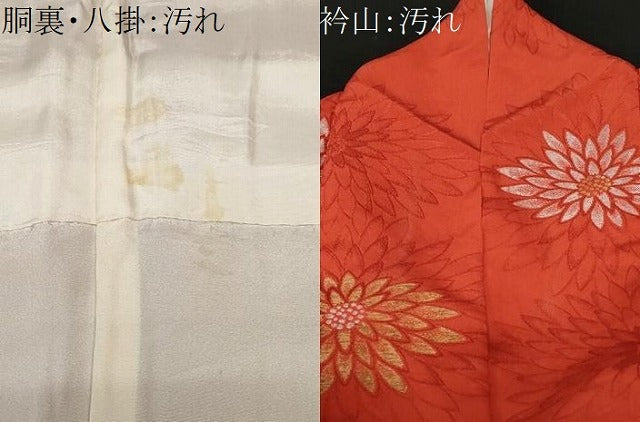 平和屋着物■上質な小紋 寿光織 菊 金銀糸 正絹 逸品 CABE1799ev