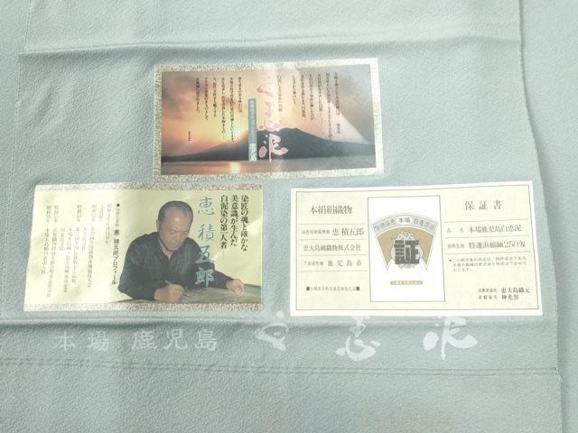 平和屋着物●白泥染の第一人者・絣の魔術師 恵積五郎監修 色無地 恵大島織物謹製 秘色色 証紙付き 正絹 逸品 CABE2018yc