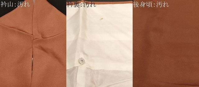 平和屋着物■江戸小紋 作家物 草木染 鮫小紋柄 正絹 逸品 CABE3505ev