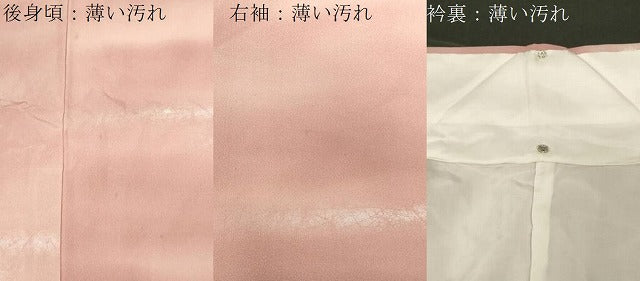平和屋着物■上質な小紋 箔散らし文 金銀彩 正絹 逸品 CABE3880dy