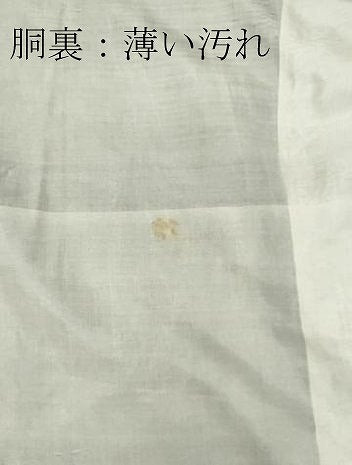 平和屋着物■本場大島紬 割り込み絣 吉祥文 正絹 逸品 CABE4012ou