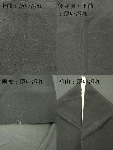 平和屋着物■豪華黒留袖 鏡裏飛鶴花文 金彩 正絹 逸品 CABE4020ou
