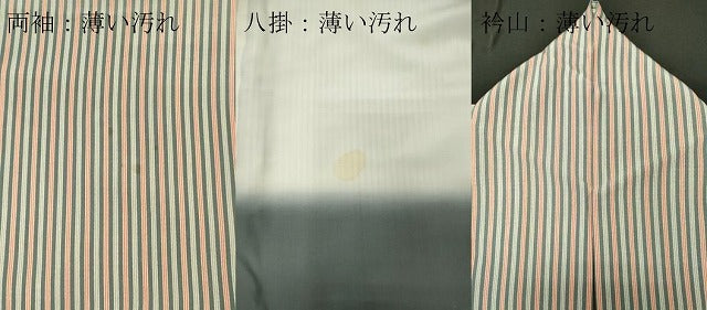 平和屋着物■江戸小紋 作家物 縞 正絹 逸品 CABE4023ou