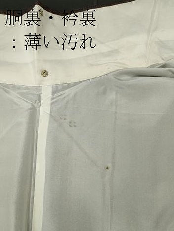 平和屋着物■本場大島紬 7マルキ 草花文 正絹 逸品 CABE4055ou