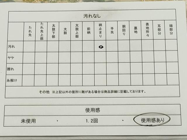 平和屋着物◎六通柄袋帯 唐織 枝松文 金銀糸 正絹 逸品 CABE4169ou