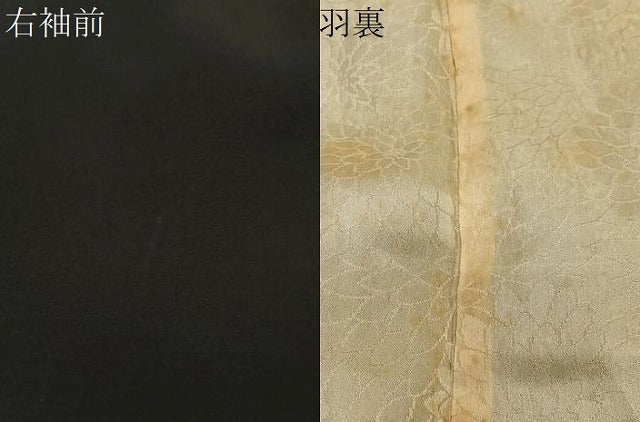 平和屋着物#羽織 寿光織 草木文 黒地 正絹 逸品 CABE5183ua