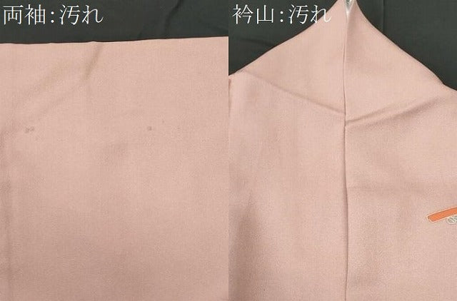 平和屋着物■訪問着 藤花房 金彩 正絹 逸品 CABE6374fb