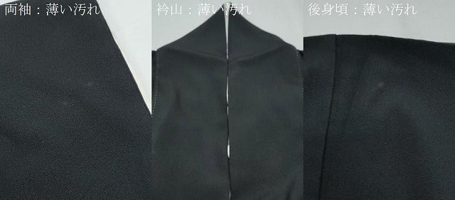 平和屋着物■豪華黒留袖 友禅 作家物 風景文 正絹 逸品 CABE6717th