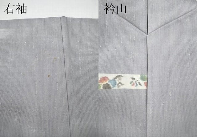 平和屋着物●上質な紬 舞蝶椿文 正絹 逸品 CABE6826ut