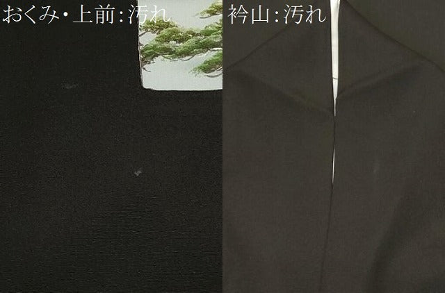 平和屋着物■豪華黒留袖 色紙重ね風景文 正絹 逸品 CABE7832ev