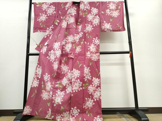 平和屋着物∴夏物 浴衣 舞花文 綿 逸品 CABE8855ng