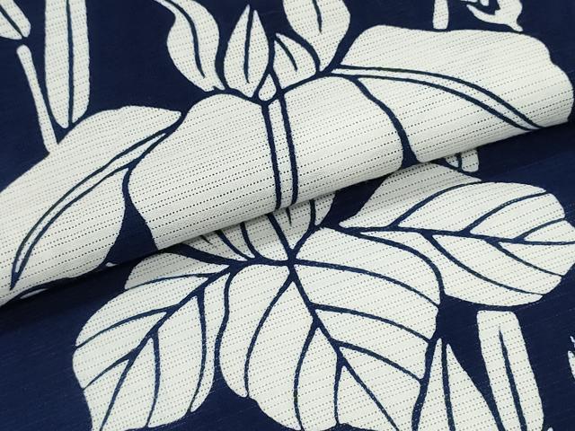平和屋着物∴夏物 浴衣 綿絽 杜若 綿 逸品 CABE8869ng