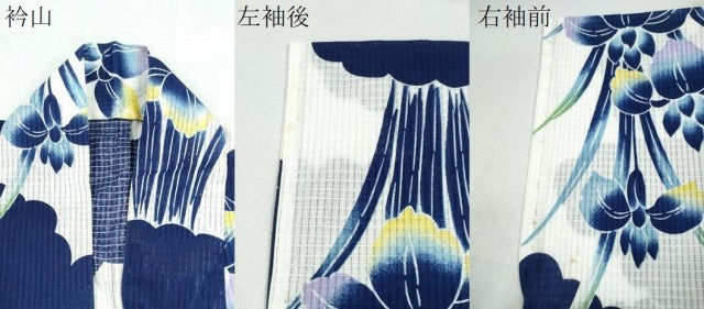 平和屋着物∴夏物 浴衣 雲取り杜若 綿 逸品 CABE9091ng
