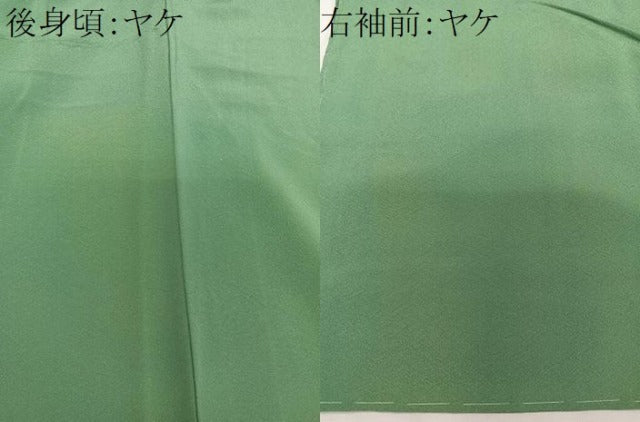 平和屋着物■上質な色無地 薄緑色 正絹 逸品 CABE9647xi