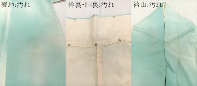 平和屋着物■訪問着 草花文 暈し染め 金彩 カラー胴裏:鳥の子色 正絹 逸品 CABE9903xi
