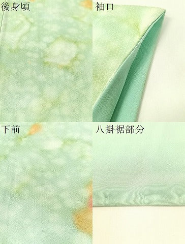 平和屋着物▼上質な小紋 絞り 舞花文 暈し染め 正絹 逸品 CABF0543vp