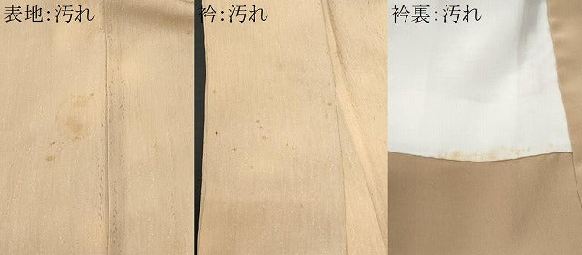 平和屋着物■訪問着 枝花文 暈し染め 正絹 逸品 CABF1189fb