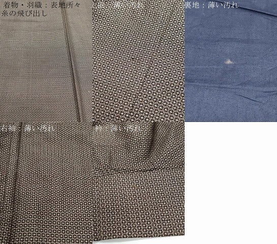 平和屋着物■男性 本場大島紬 アンサンブル 80亀甲 総詰め 正絹 逸品 CABF1710th