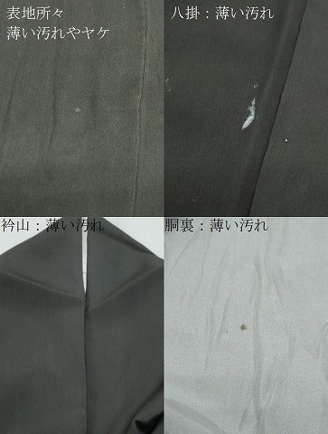 平和屋着物■豪華黒留袖 手描き 風景文 金糸 正絹 逸品 CABF1740th