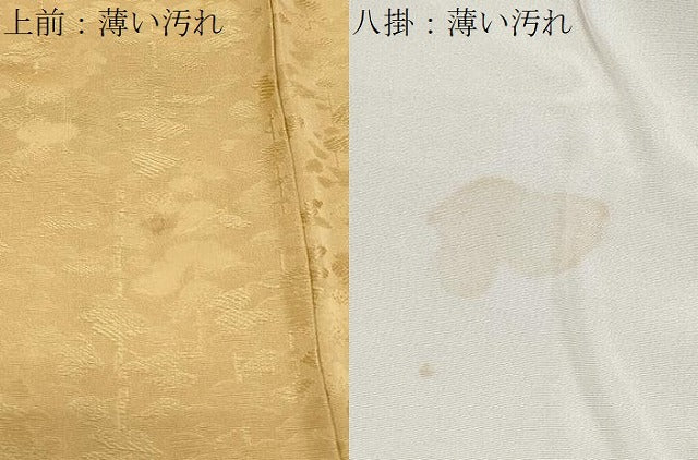 平和屋着物■上質な色無地 樹林地紋 卵色 正絹 逸品 CABF1841th