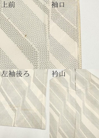 平和屋着物*夏物 紗紬 幾何学文様 正絹 逸品 CABF2451tx