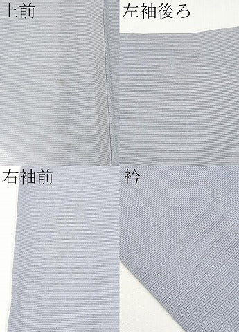 平和屋着物*夏物 訪問着 絽 籬枝花文 暈し染め 正絹 逸品 CABF2461tx