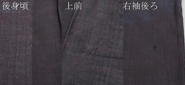 平和屋着物*夏物 紗紬 枝葉文 黒地 正絹 逸品 CABF2481tx