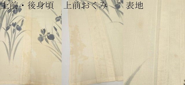 平和屋着物*夏物 訪問着 紗紬 作家物 手描き 杜若 正絹 逸品 CABF2521tx