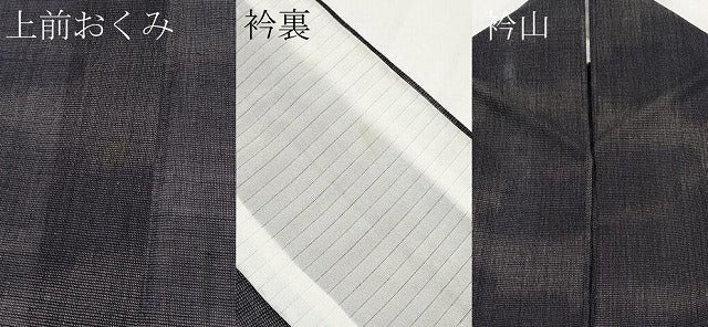 平和屋着物*夏物 小紋 紗 雲取り文 交織 CABF2694tx