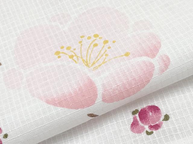 平和屋着物∴夏物 浴衣 綿紅梅 枝梅文 日本製 綿 逸品 CABF2735tx