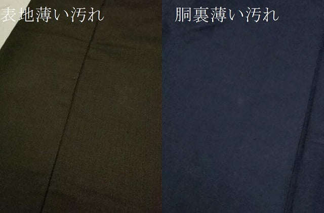 平和屋着物■男性 紬 吉祥文 正絹 逸品 CABF2918ze