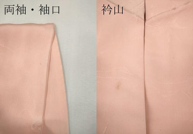 平和屋着物●上質な色無地 枝葉地紋 虹色 正絹 逸品 CABF3481ut