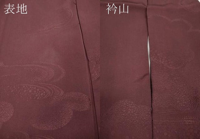 平和屋着物●上質な色無地 雲重ね地紋 紫鳶色 正絹 逸品 CABF3522ut
