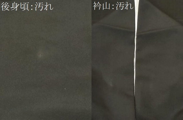 平和屋着物■豪華黒留袖 友禅 尾長鳥枝花文 正絹 逸品 CABF3773ev