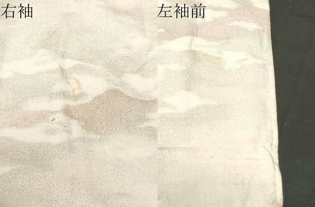 平和屋着物#羽織 寿光織 霞文 銀糸 正絹 逸品 CABF3925ev