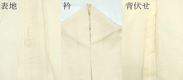 平和屋着物*夏物 訪問着 絽 手描き 鴨 正絹 逸品 CABF4578rv